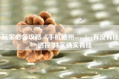 玩家必备攻略“手机德州wepoker有没有挂”(透视)其实确实有挂