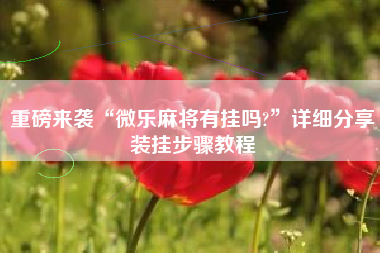 重磅来袭“微乐麻将有挂吗?	”详细分享装挂步骤教程