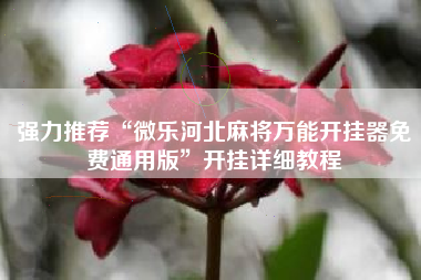 强力推荐“微乐河北麻将万能开挂器免费通用版	”开挂详细教程