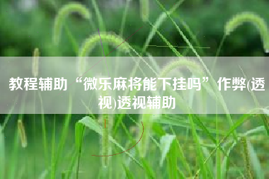 教程辅助“微乐麻将能下挂吗”作弊(透视)透视辅助