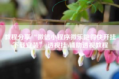 教程分享“微信小程序微乐跑得快开挂下载安装”(透视挂)辅助透视教程