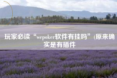 玩家必读“wepoker软件有挂吗	”(原来确实是有插件