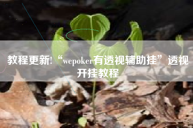 教程更新!“wepoker有透视辅助挂”透视开挂教程