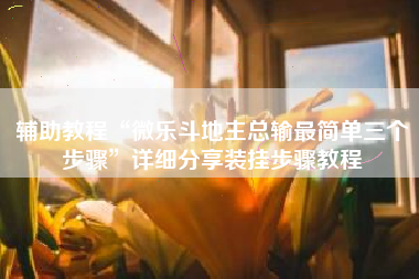 辅助教程“微乐斗地主总输最简单三个步骤”详细分享装挂步骤教程