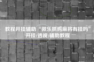 教程开挂辅助“微乐抓鸡麻将有挂吗”开挂(透视)辅助教程