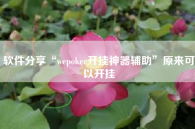 软件分享“wepoker开挂神器辅助”原来可以开挂