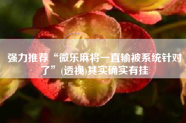 强力推荐“微乐麻将一直输被系统针对了”(透视)其实确实有挂