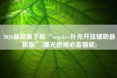 2026最新版下载“wepoker扑克开挂辅助最新版”(曝光透视必备猫腻)