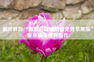 最新教你“微乐游戏辅助器免费苹果版”(原来确实是有插件)