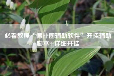 必看教程“德扑圈辅助软件”开挂辅助脚本+详细开挂
