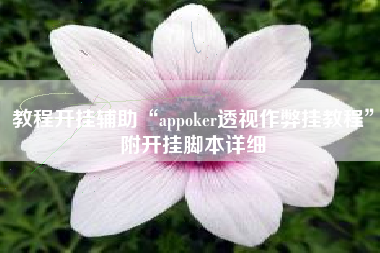 教程开挂辅助“appoker透视作弊挂教程”附开挂脚本详细