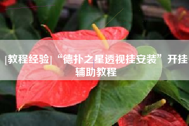 [教程经验]“德扑之星透视挂安装”开挂辅助教程