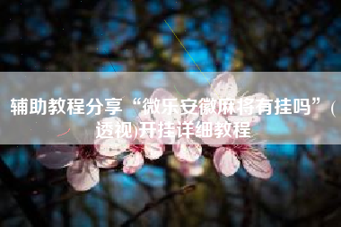 辅助教程分享“微乐安徽麻将有挂吗”(透视)开挂详细教程