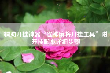 辅助开挂神器“雀神麻将开挂工具	”附开挂脚本详细步骤