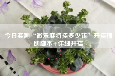 今日实测“微乐麻将挂多少钱”开挂辅助脚本+详细开挂