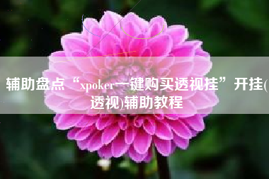辅助盘点“xpoker一键购买透视挂	”开挂(透视)辅助教程