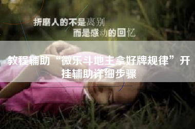 教程辅助“微乐斗地主拿好牌规律”开挂辅助详细步骤