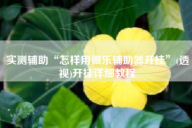 实测辅助“怎样用微乐辅助器开挂	”(透视)开挂详细教程