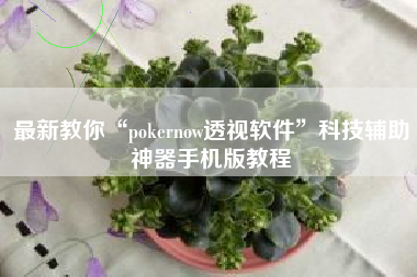 最新教你“pokernow透视软件”科技辅助神器手机版教程
