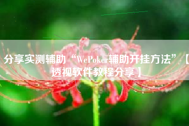 分享实测辅助“WePoker辅助开挂方法	”【透视软件教程分享】