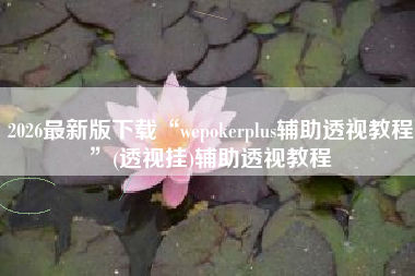 2026最新版下载“wepokerplus辅助透视教程”(透视挂)辅助透视教程