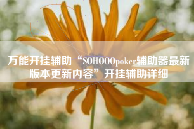 万能开挂辅助“SOHOOOpoker辅助器最新版本更新内容”开挂辅助详细