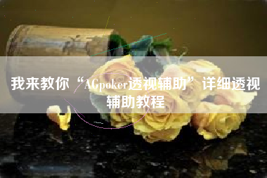 我来教你“AGpoker透视辅助	”详细透视辅助教程