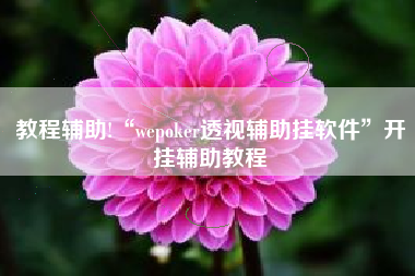教程辅助!“wepoker透视辅助挂软件”开挂辅助教程