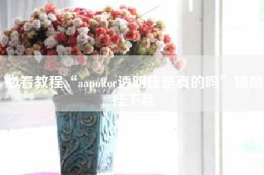 必看教程“aapoker透明挂是真的吗	”辅助挂下载