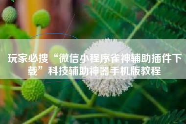 玩家必搜“微信小程序雀神辅助插件下载”科技辅助神器手机版教程