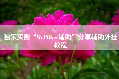 独家实测“WePOKer辅助	”分享辅助外挂教程