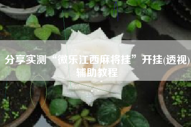 分享实测“微乐江西麻将挂”开挂(透视)辅助教程
