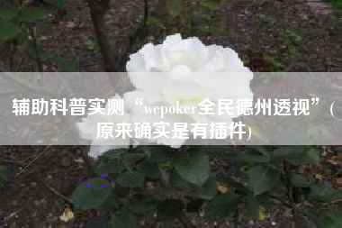 辅助科普实测“wepoker全民德州透视”(原来确实是有插件)