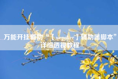 万能开挂辅助“【wepoker】辅助器脚本	”详细透视教程