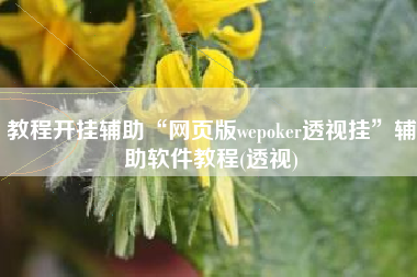 教程开挂辅助“网页版wepoker透视挂	”辅助软件教程(透视)