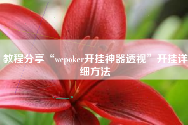 教程分享“wepoker开挂神器透视”开挂详细方法