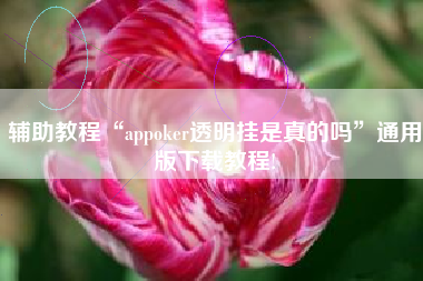 辅助教程“appoker透明挂是真的吗	”通用版下载教程!