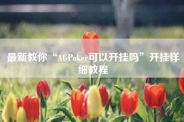 最新教你“AGPoker可以开挂吗”开挂详细教程