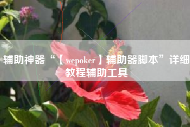 辅助神器“【wepoker】辅助器脚本”详细教程辅助工具