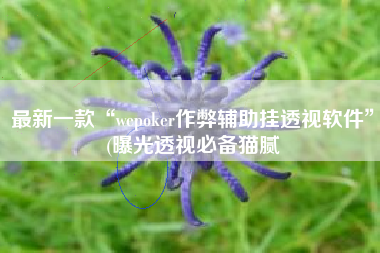 最新一款“wepoker作弊辅助挂透视软件”(曝光透视必备猫腻
