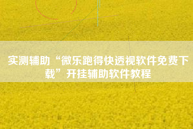 实测辅助“微乐跑得快透视软件免费下载”开挂辅助软件教程