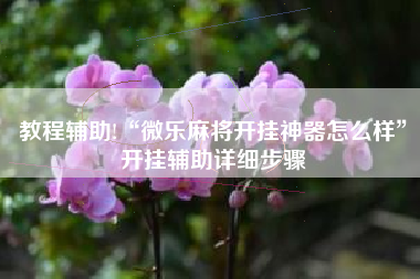 教程辅助!“微乐麻将开挂神器怎么样”开挂辅助详细步骤