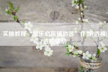 实操教程“微乐必赢辅助器	”作弊(透视)透视辅助