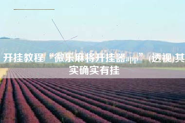 开挂教程“微乐麻将开挂器app”(透视)其实确实有挂