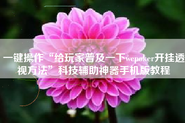 一键操作“给玩家普及一下wepoker开挂透视方法	”科技辅助神器手机版教程