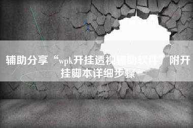 辅助分享“wpk开挂透视辅助软件”附开挂脚本详细步骤
