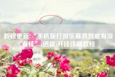 教程更新!“手机版打微乐麻将到底有没有挂”(透视)开挂详细教程