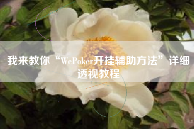 我来教你“WePoker开挂辅助方法”详细透视教程