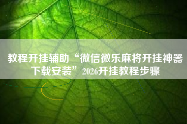 教程开挂辅助“微信微乐麻将开挂神器下载安装”2026开挂教程步骤