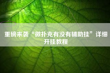 重磅来袭“微扑克有没有辅助挂”详细开挂教程
